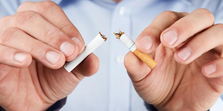 1625580shutterstock - ROKOK