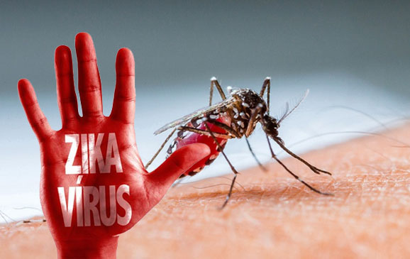 VIRUS ZIKA PADA PEKERJA - Prodia OHI