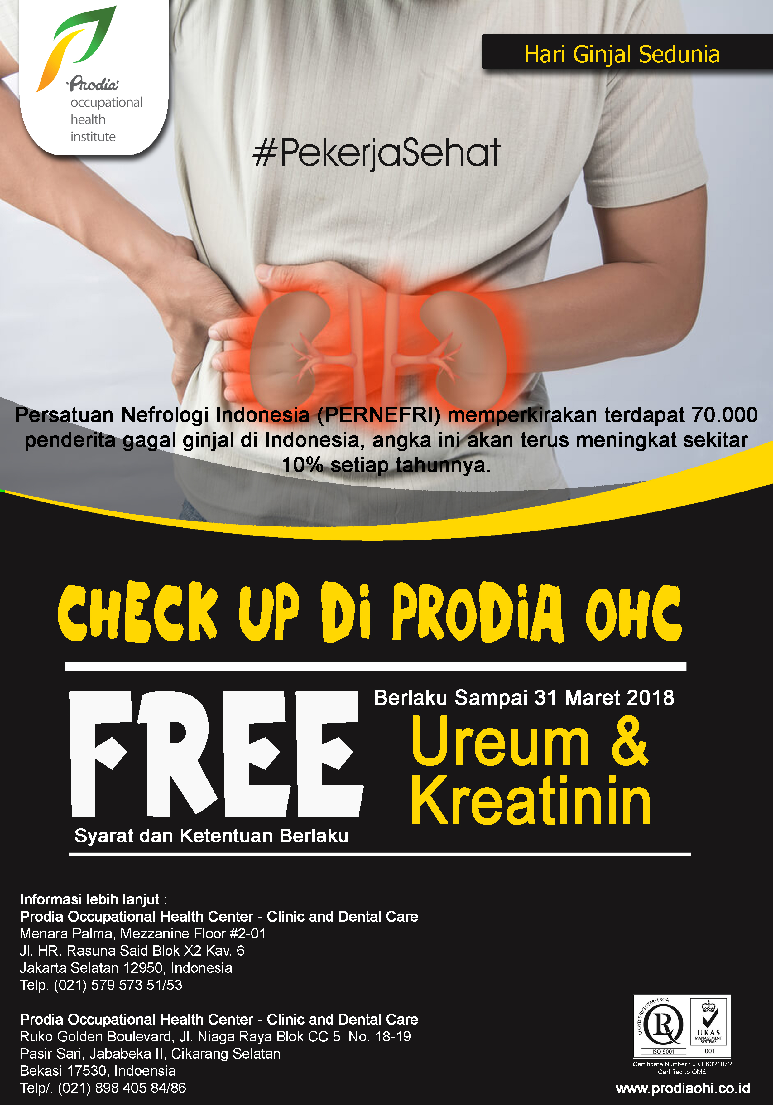 Promo Hari Ginjal copy jnksmq - Promo Hari Ginjal Sedunia