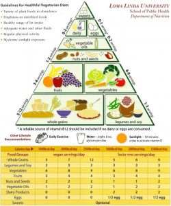 WhatsApp Image 2021 10 08 at 11.09.51 - Merancang Diet Vegetarian yang Sehat