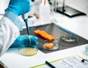 Untitled design 24 - Jaminan Keamanan Pangan Hasil Laut: Uji Histamin di Laboratorium Prodia Food Health Laboratory