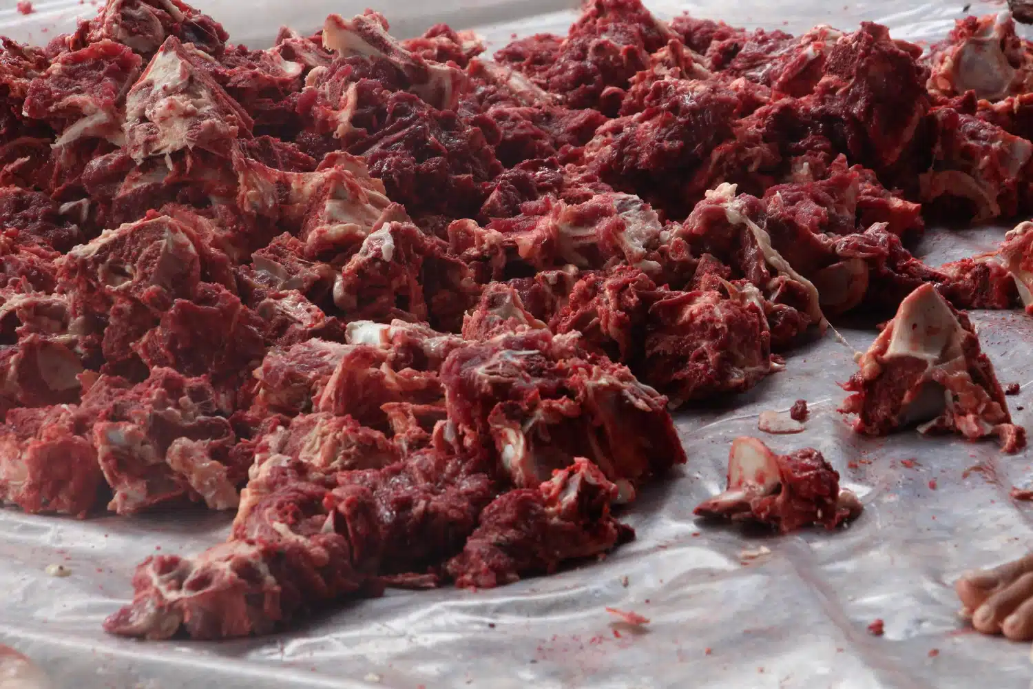 Hindari Bahaya Kontaminasi Silang pada Daging dengan Langkah Tepat