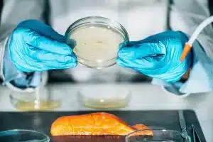 Yakin Produk Anda Sudah Aman dari Bakteri? Ini Pentingnya Pengujian Mikrobiologi!